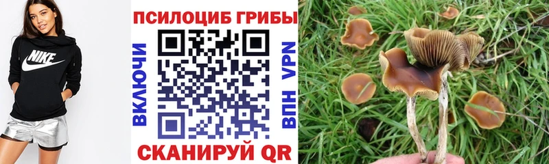 Псилоцибиновые грибы Magic Shrooms Купить где Верхняя Тура